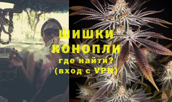 PSILOCYBIN Богданович